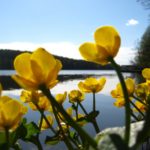 Tervetuloa Kesäpäivä Kruusilassa -tapahtumaan 14.6.!