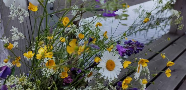 Yhdistyksen vuosikokous Topulissa 8.6. klo 14